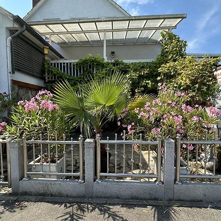 Ferienwohnung Insel Reichenau Kültér fotó