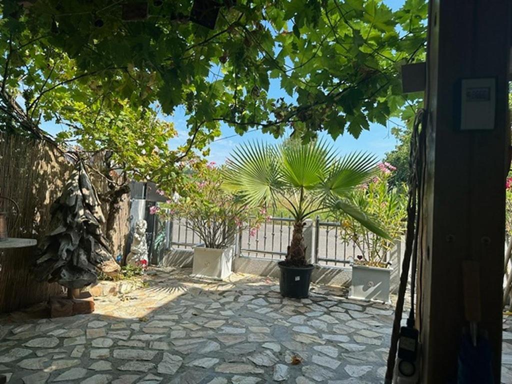 Ferienwohnung Insel Reichenau Kültér fotó